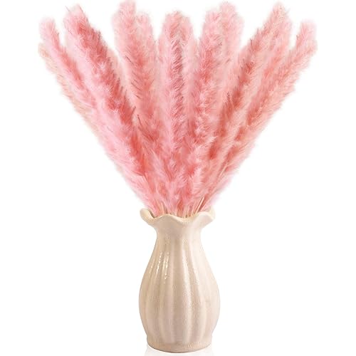 Dry Pampas Grass Natural Dried Bundle for Home Decor 20pcs (Pink)