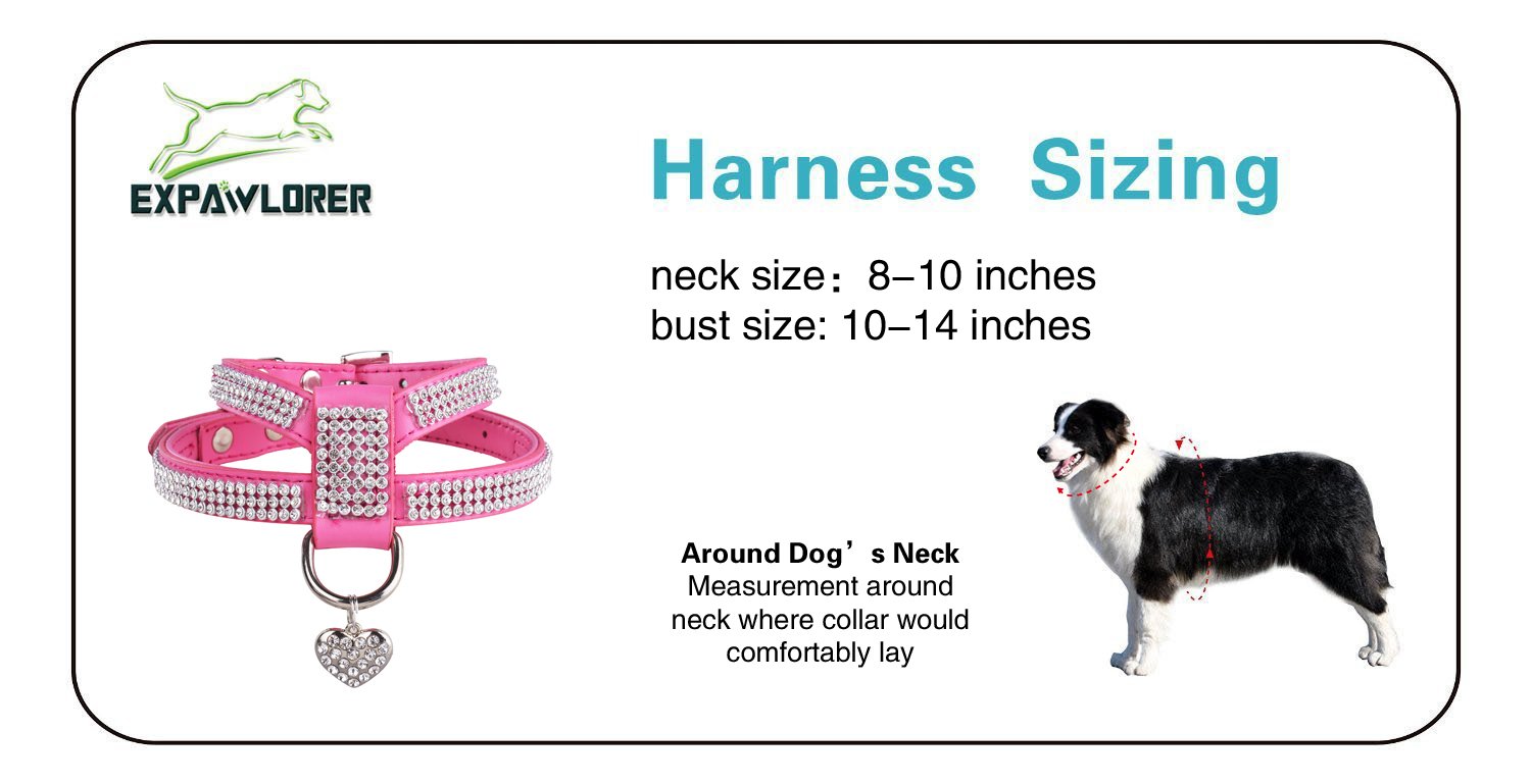 expawlorer dog harness