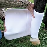 CASHEL No Bow Bandage