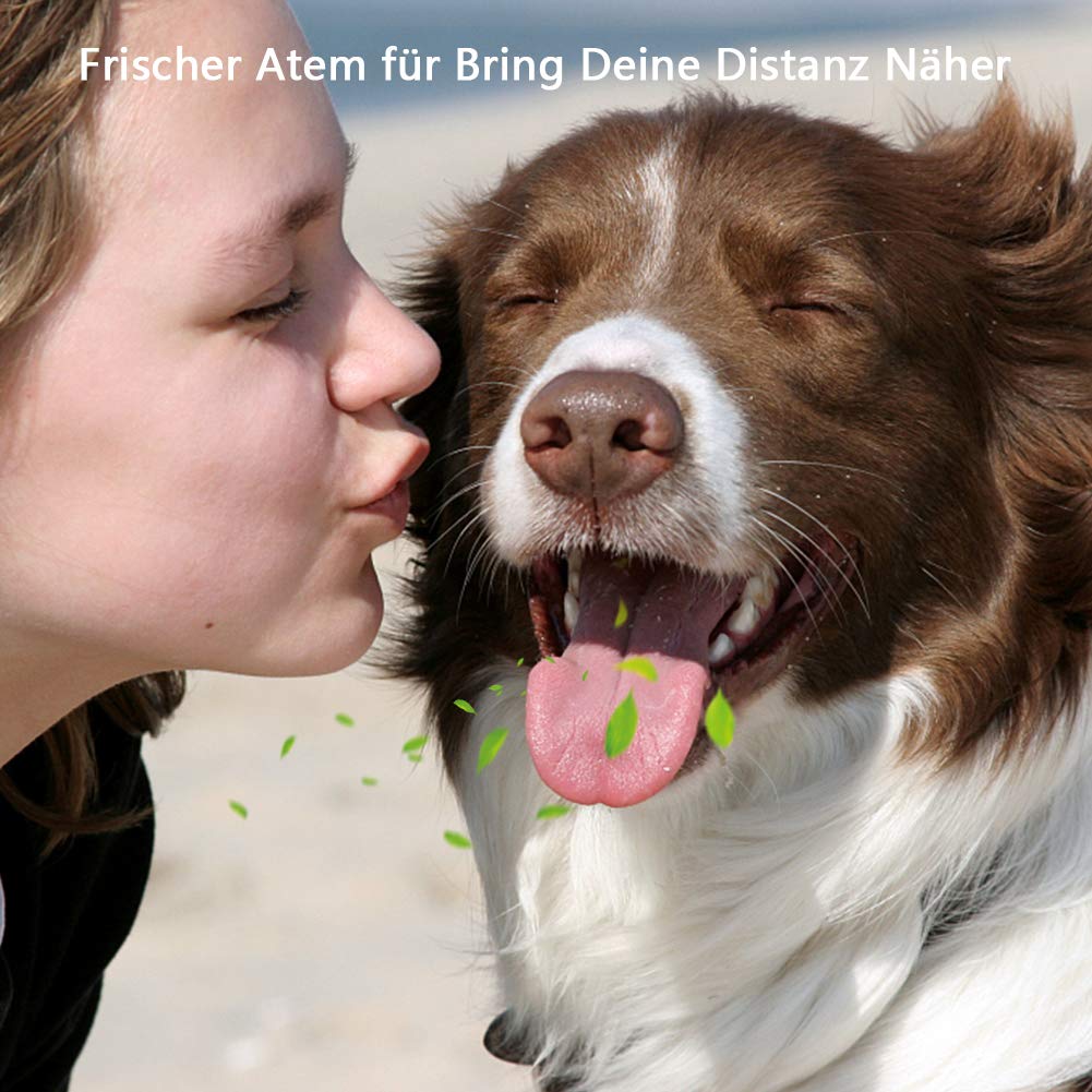 Ciaoed Hundespielzeug Kauspielzeug Hundezahnbürste,Hunde Zahnbürste mit ungiftig und umweltfreundlich naturkautschuk für kleine mittelgroße und große Hunde Pet zahnreinigung Zahnpflege Geschenk