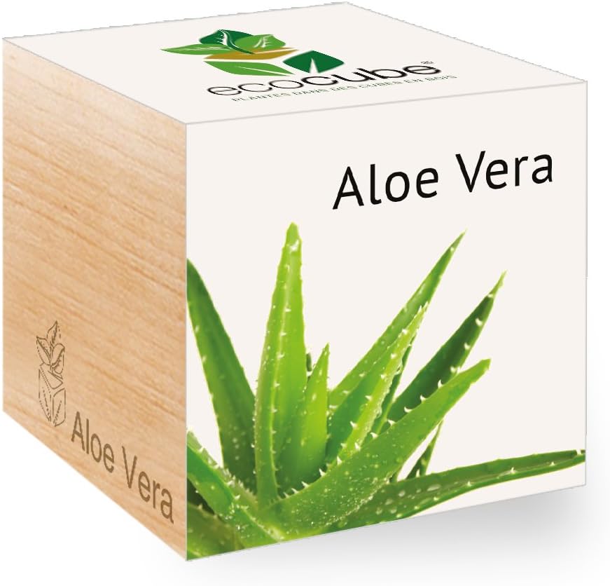 Feel Green Ecocube Aloe Vera Exotics Idee Cadeau 100 Ecologique Grow Your Own Kit Pret A Pousser Plantes Dans Des Cubes En Bois 7 5cm Produit En Autriche Amazon Fr Jardin