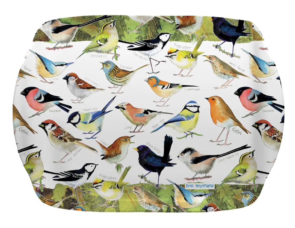 Emma Ball British Garden Birds - Colourful Medium Melamine Tray - Cream, Green, Multi - 35 cm