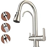 Kitchen Sink Faucet with Pull - Down Sprayer, 2 - Handle 3 - in - 1 Kitchen Sink Filter Faucet, Cold and Hot Mixer Drinking Water Faucet (3-in-1 Filter Faucet, Brushed Nickel-1)