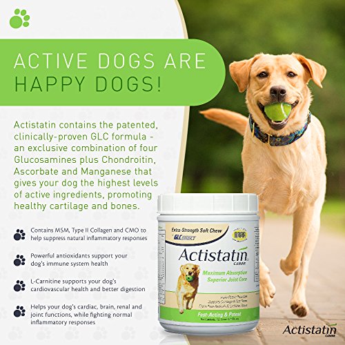 Actistatin Canine Large Dog Soft Chews, 120ct Patented ExtraStrength