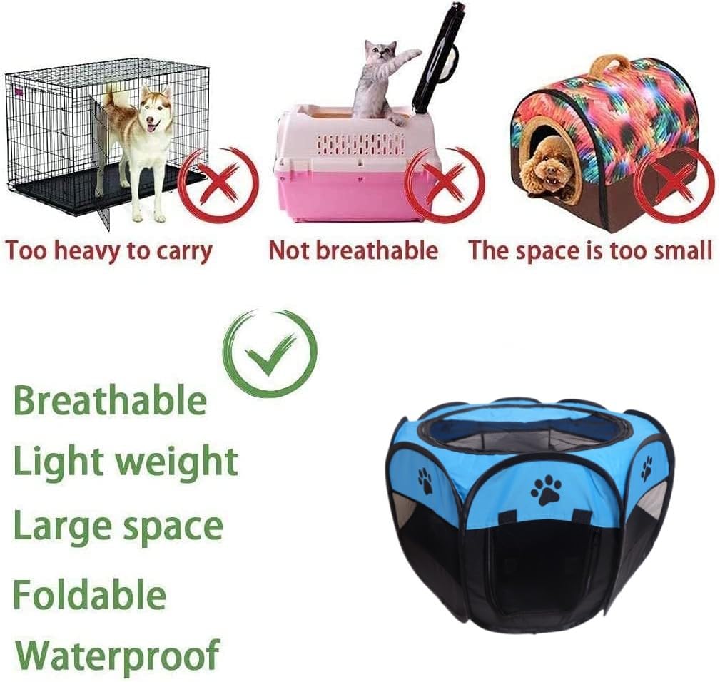 View 4