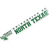 Desert Cactus University of North Texas Sticker UNT Mean Green Name Logo Vinyl Decal Laptop Water Bottle Car Scrapbook (8 Inch Sticker)