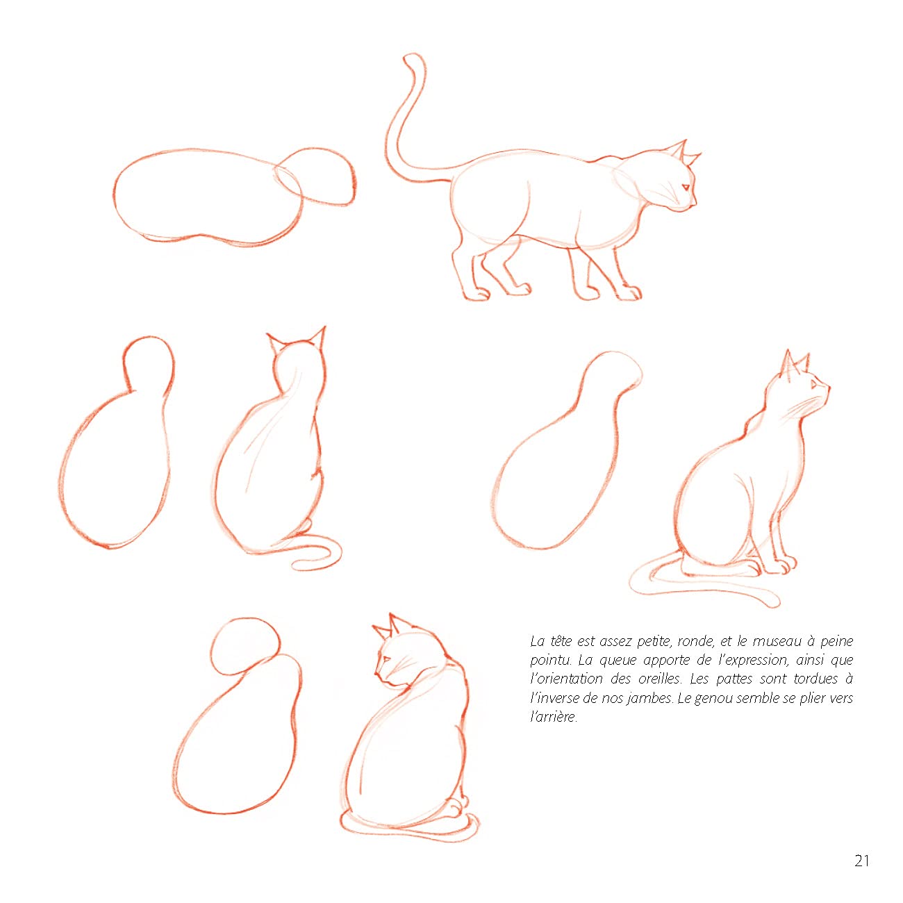 Le Dessin Facile Herzog Lise Amazon Com Books