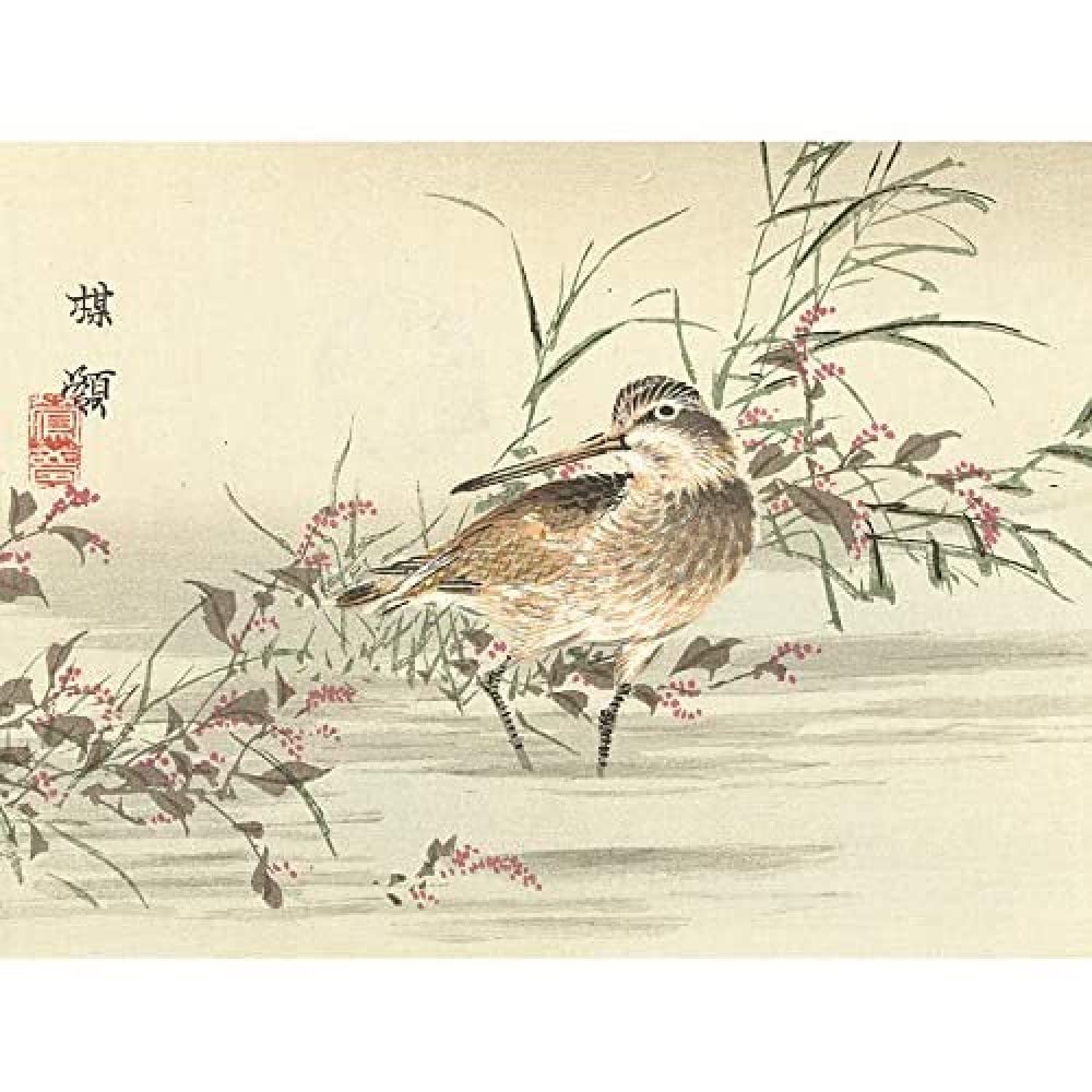 Artery8 Kono Bairei Stream Bird Japanese Woodblock Art Print Canvas Premium Wall Decor Poster Mural
