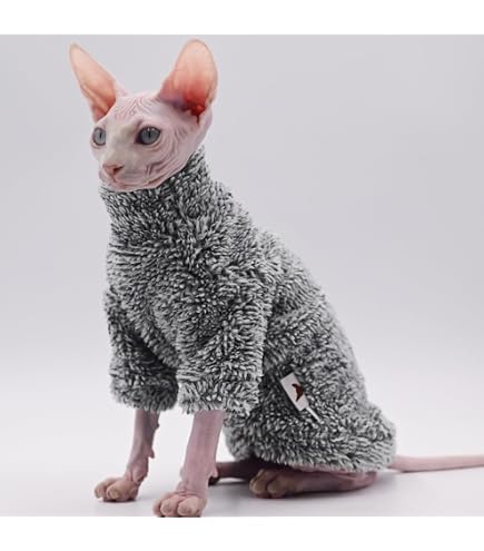 Amazon.com : Kotomoda cat wear Turtleneck Boss (S) : Pet Supplies