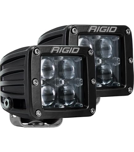 Amazon.com: Rigid Industries 20221 Dually Spotlight, (Set of 2