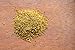 Delitaliana Premium Organic Fennel Pollen, 1 Ounce Tin