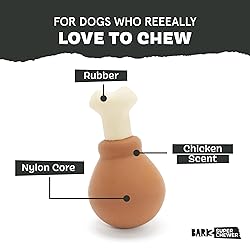 Barkbox Super Chewer Tough Dog Chew Toys for