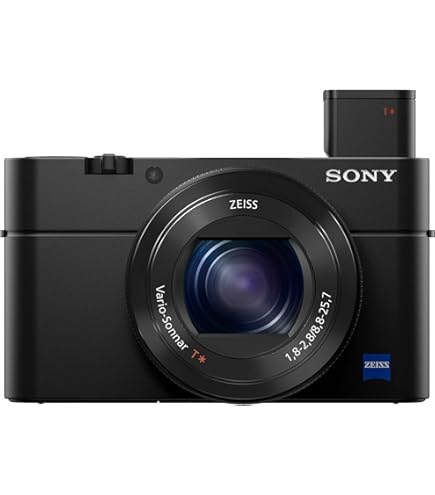 Amazon.com : Sony RX100 20.2 MP Premium Compact Digital
