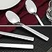 Fiazony Dinner Spoon, 12-Piece Stainless Steel Spoons, 7.79-INCH