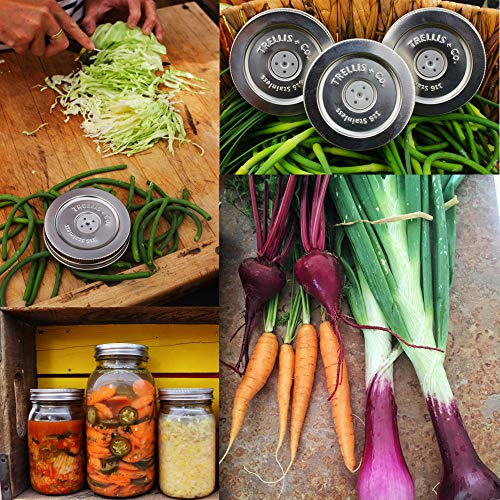 Trellis + Co. Stainless Steel PickleHelix Coils, Fermentation Weights 3 Pack For Wide Mouth