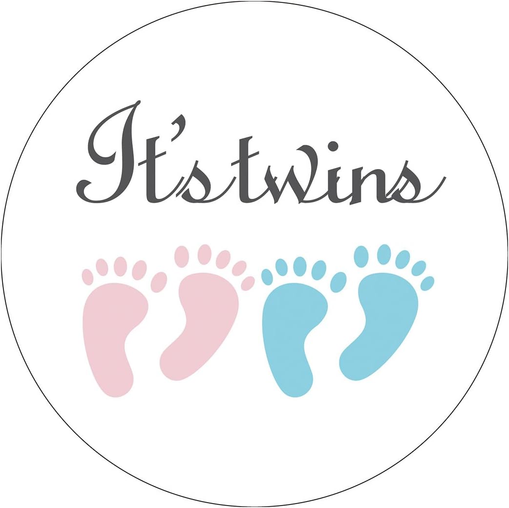 it's twins baby shower decorations