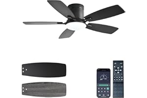 Ayaoty Ceiling Fans with Lights, 42 inch Low Profile Ceiling Fan with Light and Remote Control, Flush Mount, Reversible Motor, Dimmable, Noiseless, Black Ceiling Fan for Bedroom, Indoor/Outdoor Use