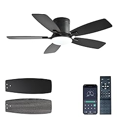 Ayaoty Ceiling Fans with Lights, 42 inch Low
