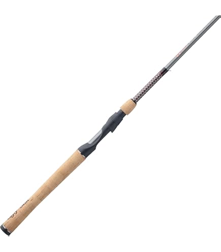 Anglo & Company Paragon G5003 Spinning Rod, Spinning Rods - Amazon