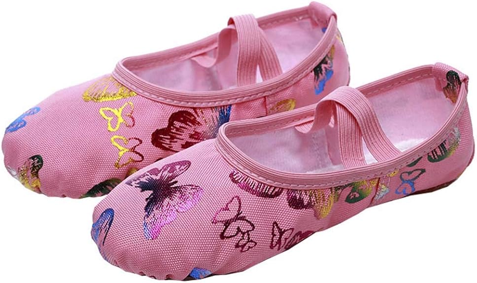 TINRYMX Girls's Ballet Shoes Butterfly Partern Canvas