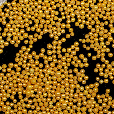Natural Gold Gluten GMO Nuts Dairy Soy Free 100's & 1000's