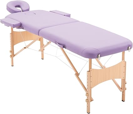 Homcom Massage Table Bed Couch Beauty Bed 2 Section Therapy Bed