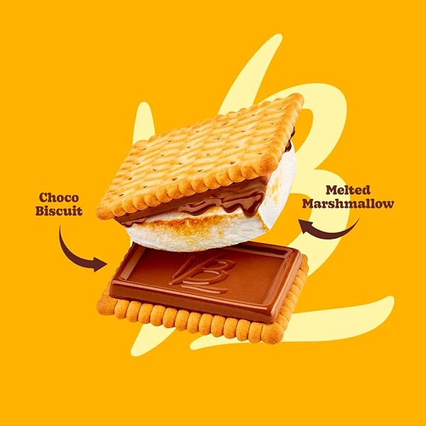 BAUDUCCO CHOCO BISCUIT COOKIES POUCH – CRISPY CHOCOLATE-COVERED BISCUITS, INDIVIDUALLY WRAPPED FOR SNACKING, DESSERT, AND LUNCH BOXES, 6.3 OZ (PACK OF 10)
