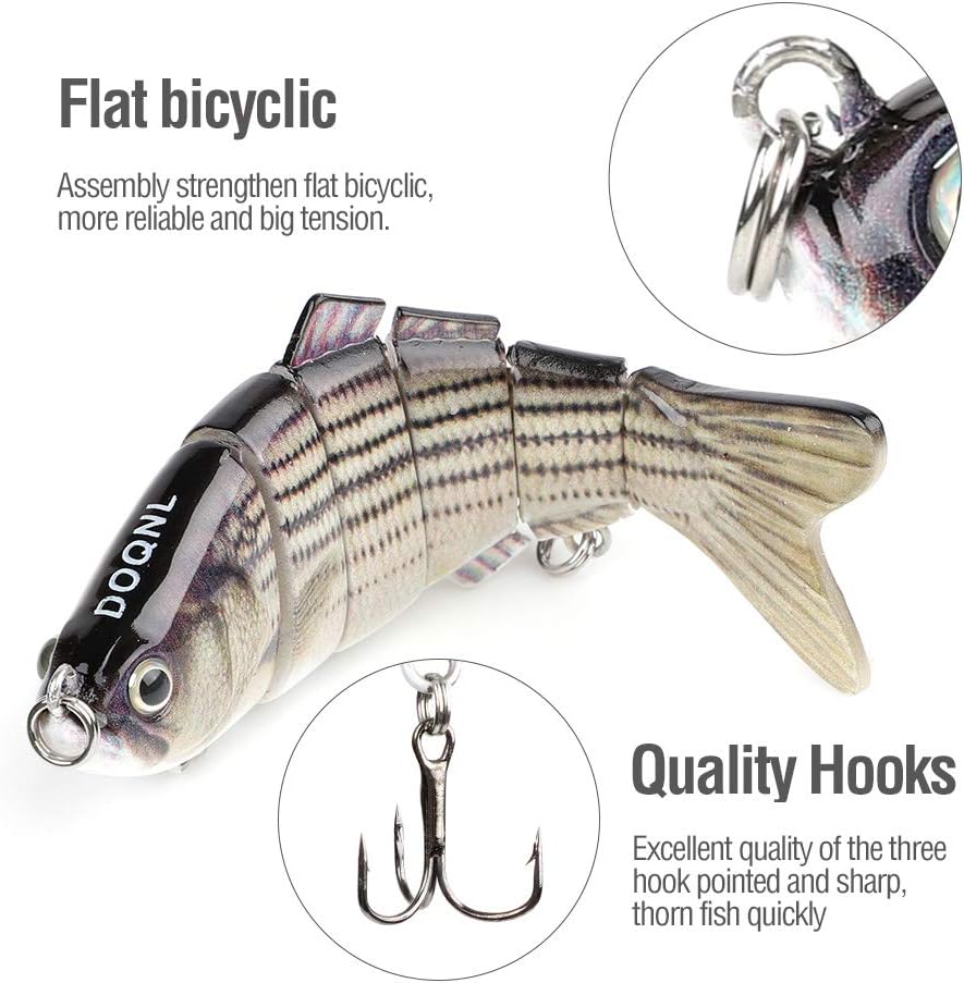 HXC Fishing Lures 3D Fishing Baits Multi-Jointed Fishing Lure Pike Lures Set Sinking Bionic Swimbait Sea Fishing Tackle Roach Lure Life-Like Artificial Baits (6 Segments 3PCS) : Sports & Outdoors