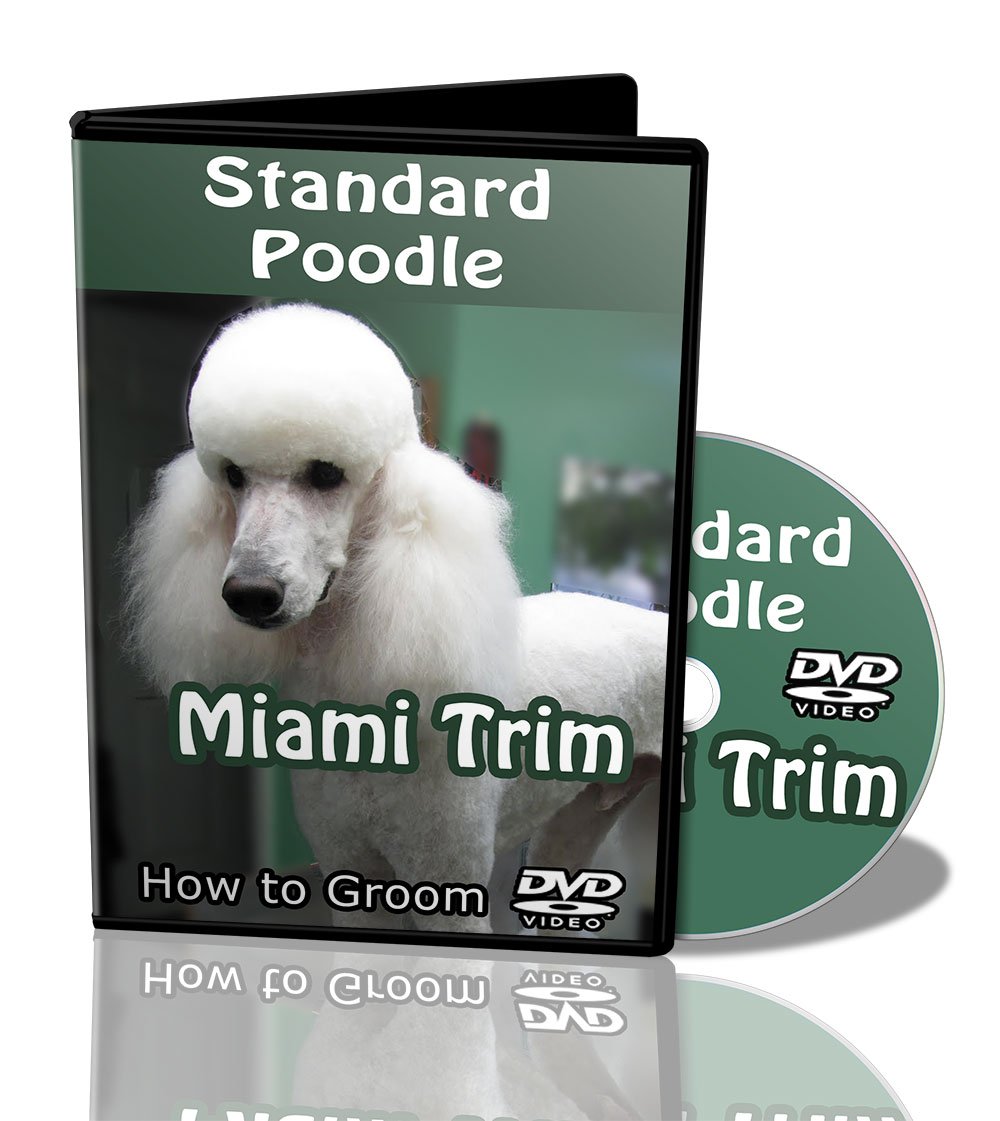 miami trim poodle