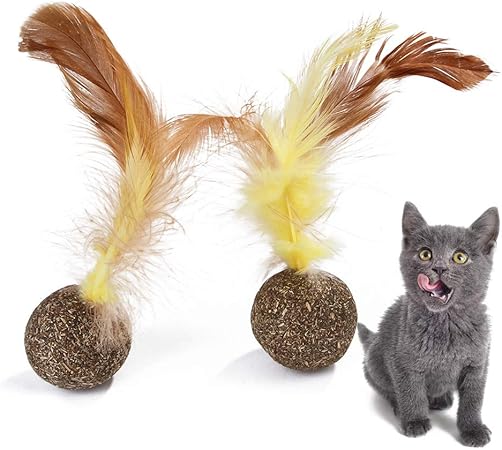 perfect teeth cat toy