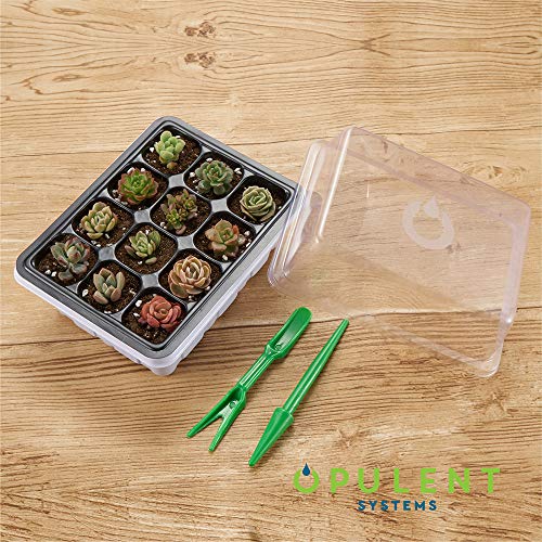 OPULENT SYSTEMS 10 Sets Seed Trays 120 Cells Seedling Starter Tray Garden Plant Germination Kit Seed Starting Tray with Dome and Base, Hand Tool Kits for Indoor Hydroponic Plants Growing