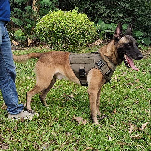ICEFANG Tactical Dog Harness with 2X Metal Buckle,Working Dog MOLLE
