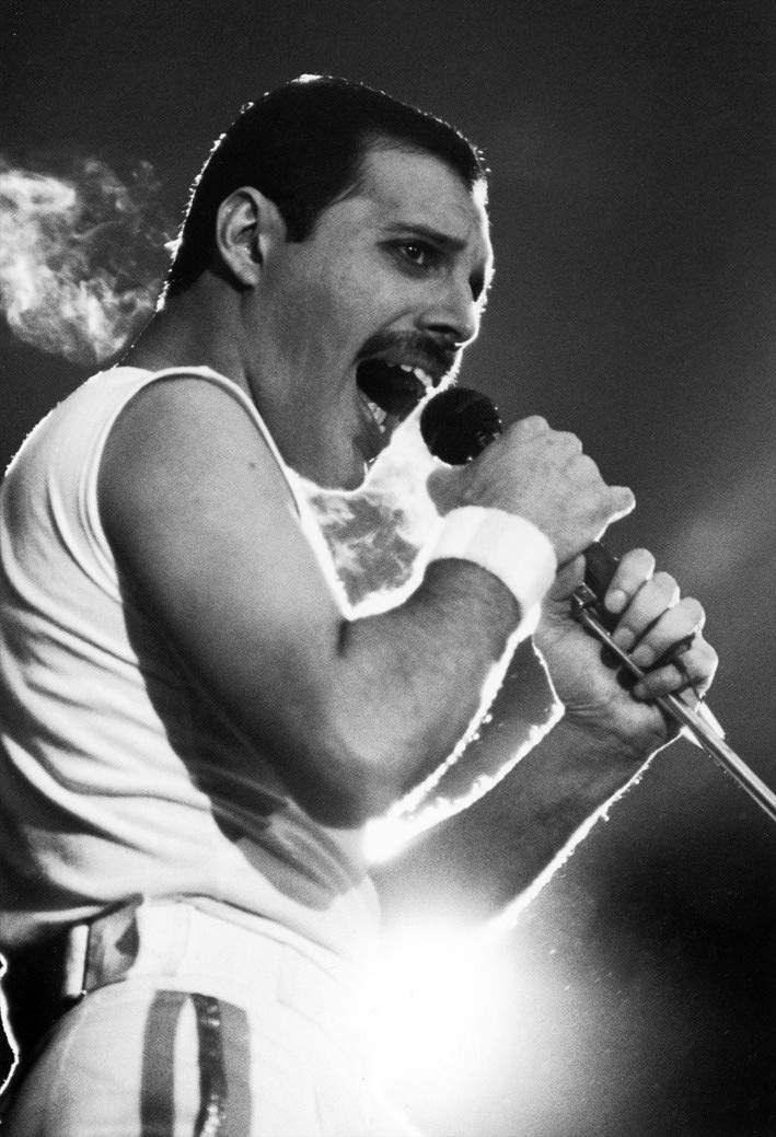 Amazon Com Handtao Freddie Mercury British Singer Fabric Cloth
