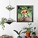 MXJSUA DIY 5D Diamond Art Painting Hummingbird by Number Kits for Adults, Hummingbird Picking Nectar Round Full Drill Diamond Art Kit Picture Craft for Home Wall Art Decor 12x12 inch