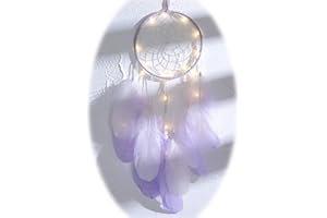 YRY Sweet Dreams Dream Catcher, Handmade Cute LED Dream Catchers for Wall Window Bookshelf Hanging Decoration Blessing Gift with Tassel Ribbon Natural Feathers (Pinkblue - Girly Heart)