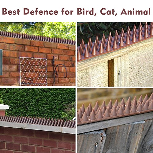 Bird Spikes for Pigeons Small Birds Critters - 16 Feet Bird Repellent Spikes Plastic Bird Deterrent Spikes Anti Bird Spikes Strips-Idea for Fences Walls Railings Sheds Roof(10 Strips)