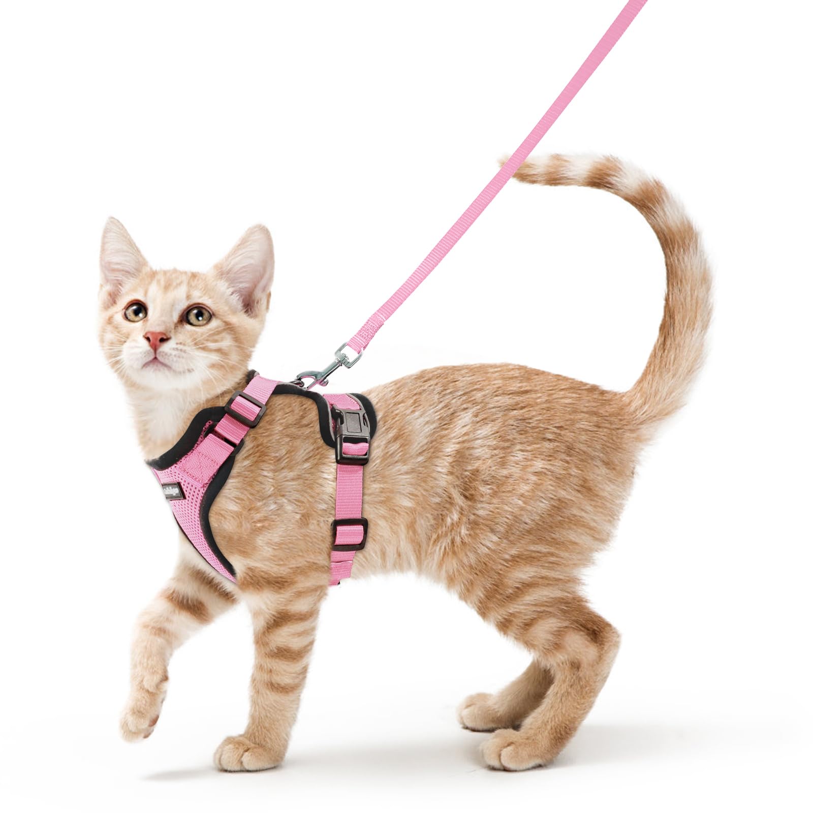 Photo 1 of rabbitgoo Cat Harness and Leash for Walking, Escape Proof Soft Adjustable Vest Harnesses for Cats, Easy Control Breathable Reflective Strips Jacket, Pink, XS