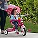 4-in-1 Stroll 'N Trike