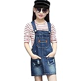 KIDSCOOL SPACE Baby Little Girls Fox Flowers Embroidered Lace Denim Overall Dress
