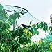 33ft X 13ft Garden Plant Netting Protect Vegetable Fruit Trees Crops Against Birds Chicken Squirrel Netting Rodents Rabbit Fence with 0.59