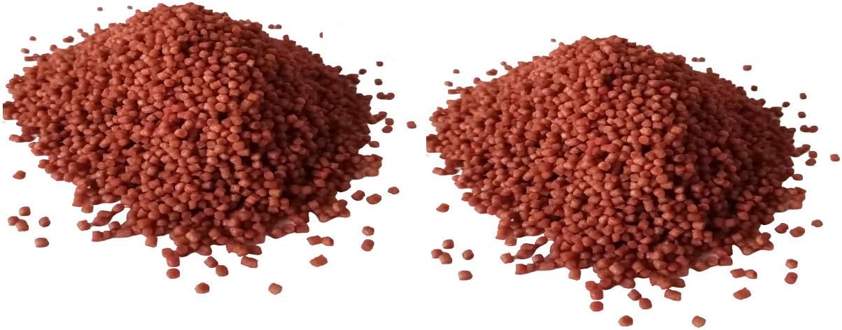 Bloodworm pellets tropical fish Clearance