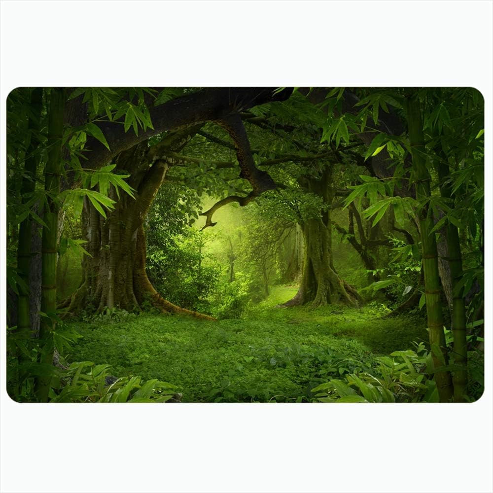 Lis Home Indoor Bath Rug For Bathroom Non Slip Mats Ground Tropical Palm Jungle Nature Wonderful Vegetation Parks Wood Outdoor Design Fantasy Swamp Bathing Shower Doormat Rubber Mat Amazon Co Uk Kitchen Home