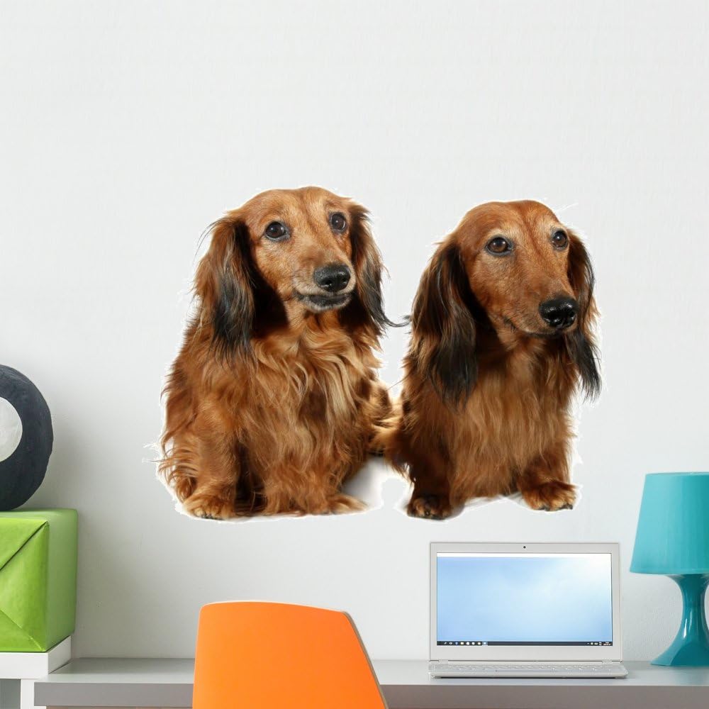 Amazon Com Wallmonkeys Pair Dog Long Haired Dachshund Pet Wall