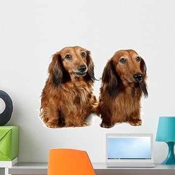 Amazon Com Wallmonkeys Pair Dog Long Haired Dachshund Pet Wall