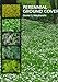 Perennial Ground Covers by David S. MacKenzie (1997-05-01) by 