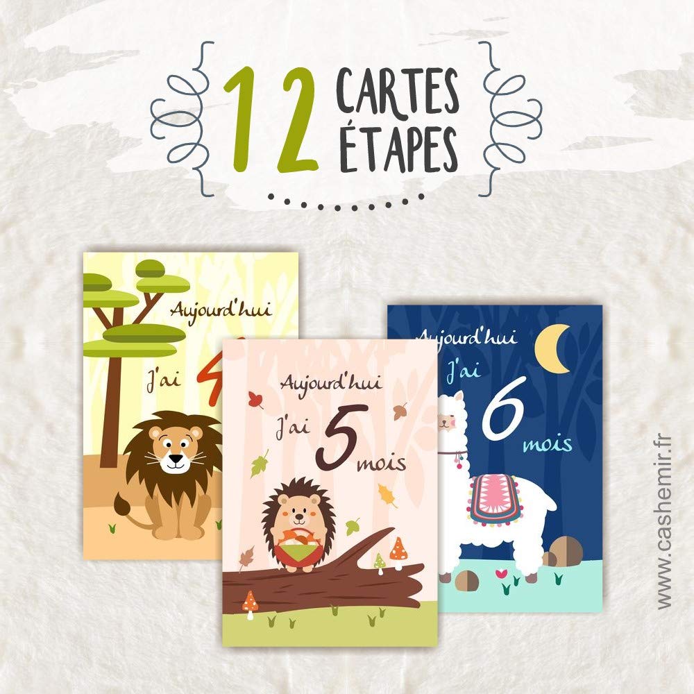 Produits Handmade Cadeaux Et Souvenirs Pour Nouveau Ne Cartes A Photographier Mes 12 Premiers Mois Cartes Etapes Bebe Premiere Annee De Bebe Carte Etape Theme Animaux Sauvages 12 Mois De Bebe Lot De