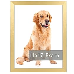 RUN HELIX 11x17 Picture Frame for 11by17 Poster