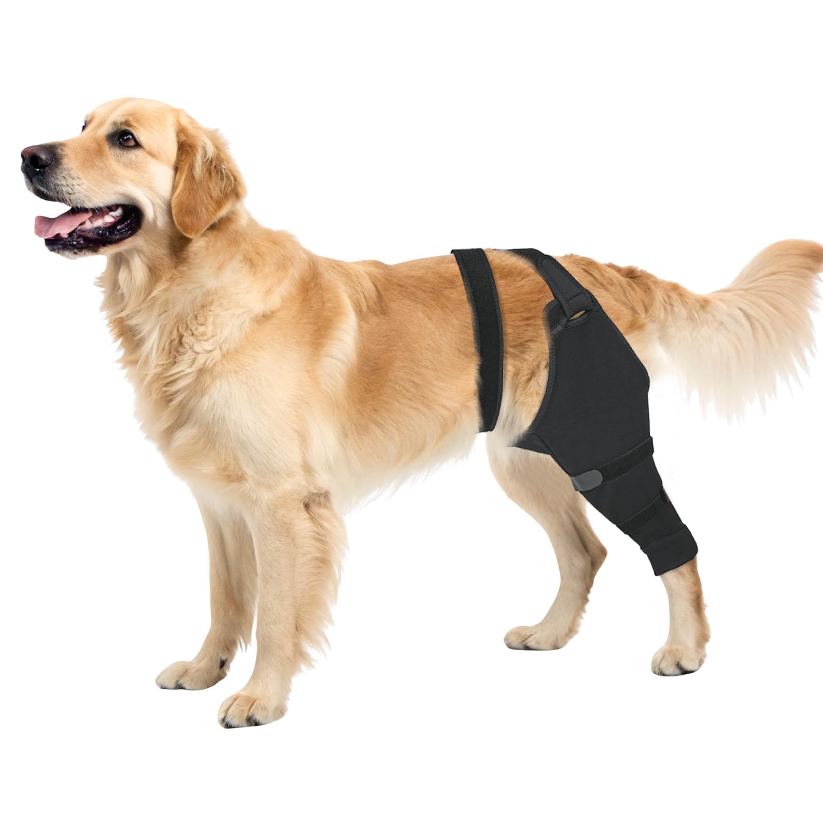 Photo 1 of Dog Rear Leg Sleeve to Stop Licking, Surgical Sleeve for Recovery After TPLO, ACL, Wound Cover for Back Leg, Dog Cone Alternative for Surgery(Right Leg, M)