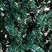 Kurt Adler Pre-Lit Point Pine Christmas Tree, 7-Feet, with 350 Clear Lights
