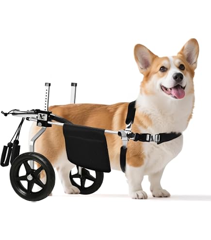 Amazon.com: eabagi-fo-doggu (AirBuggy for Dog) Nest Bike Towbar